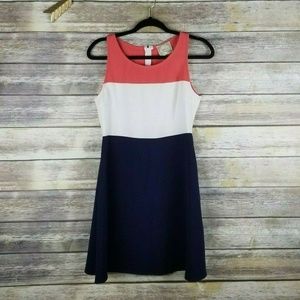 Alythea Color Block A Line Dress